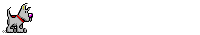 Élevage du ruisseau des blaquières: Élevage pointer, élevage setter anglais, élevage épagneul breton Élevage du ruisseau des blaquières: Élevage pointer, élevage setter anglais, élevage épagneul breton