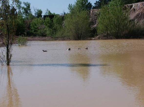 Rserve d'eau pour l'entrainement des chiens d'arrt