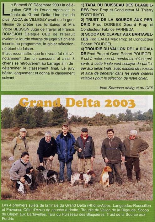 Tara du Ruisseau des Blaquières, épagneul breton vainqueur du Grand Delta 2003