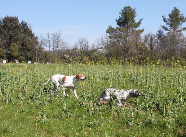 pointer au patron