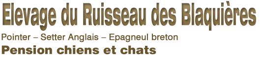 Elevage / Pension canine et fline du Ruisseau des Blaquires